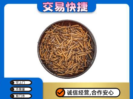 随州回收散虫草